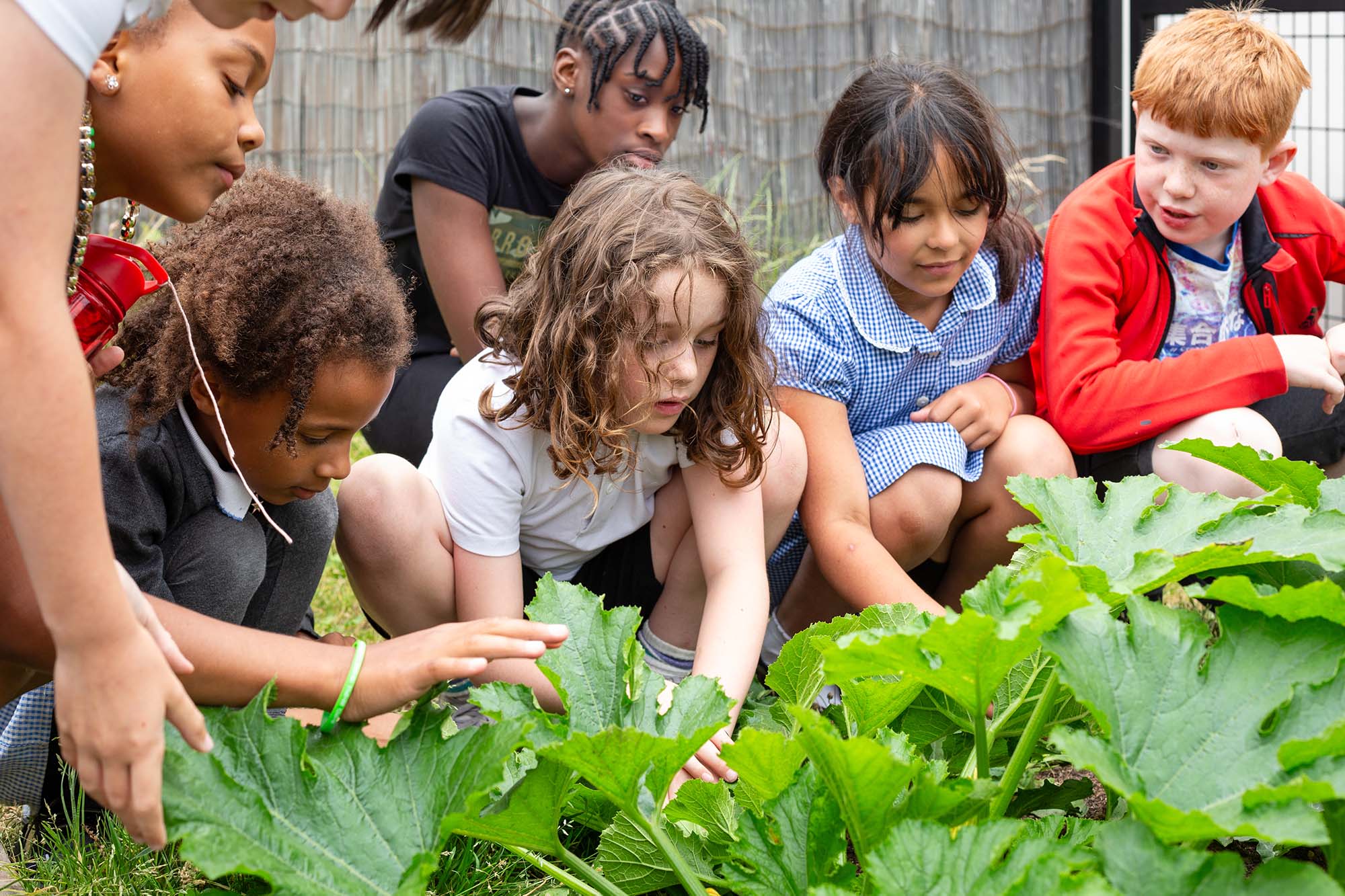 children looking at vegetables