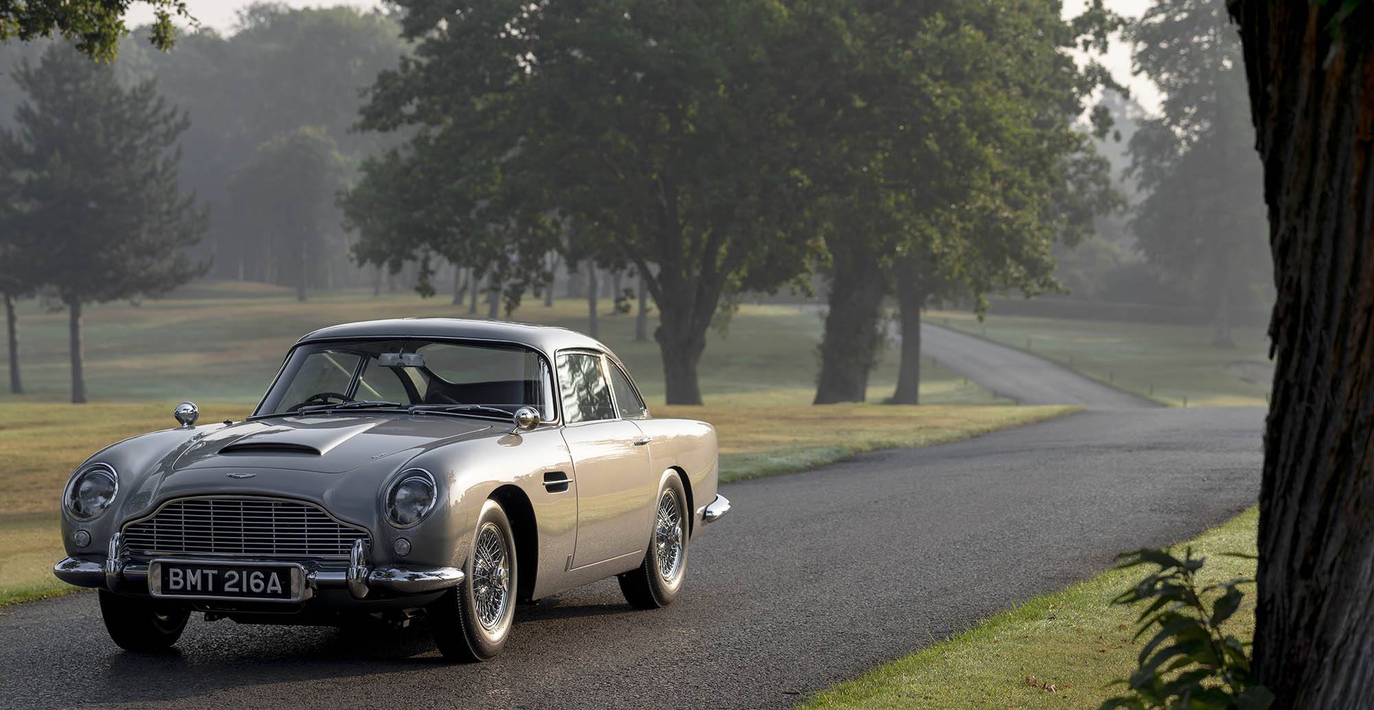 classic car on a road with trees