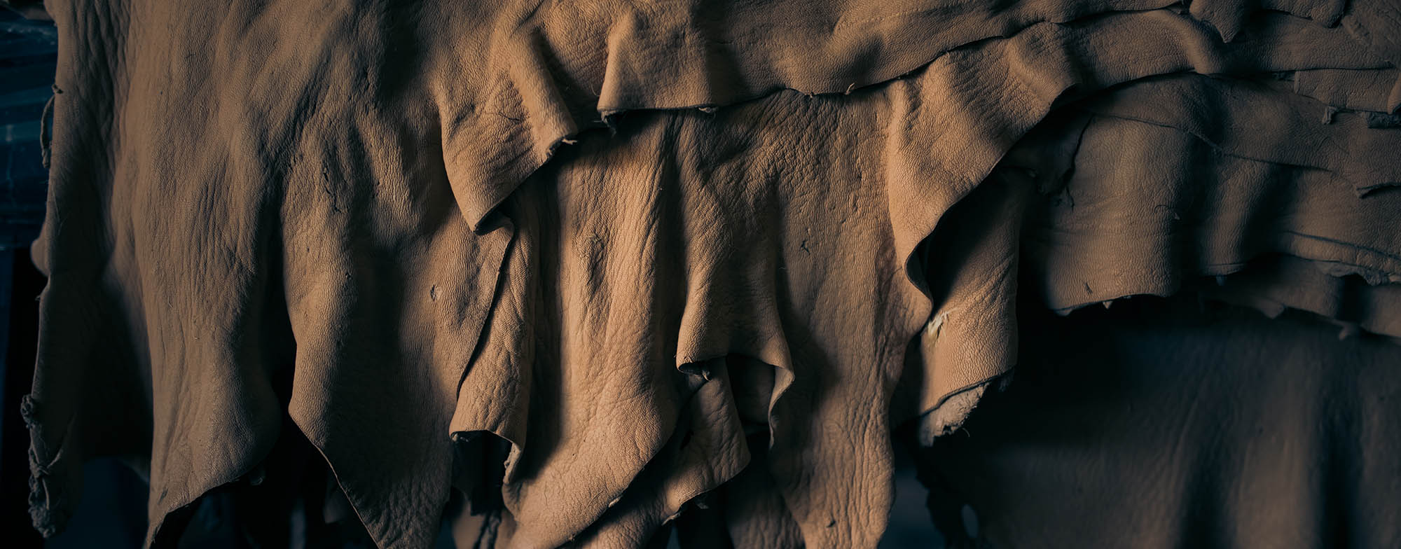 hides hanging in a tannery